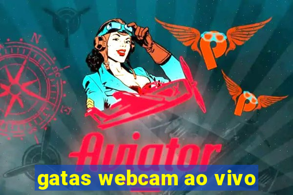 gatas webcam ao vivo